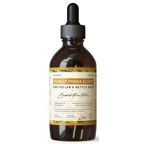 Raw Forest Foods Forest Prana Elixir - Elevated Pine Pollen & Nettle Root